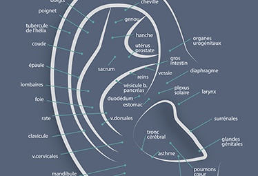 Auriculothérapie : une pratique naturelle pour soulager les maux du quotidien